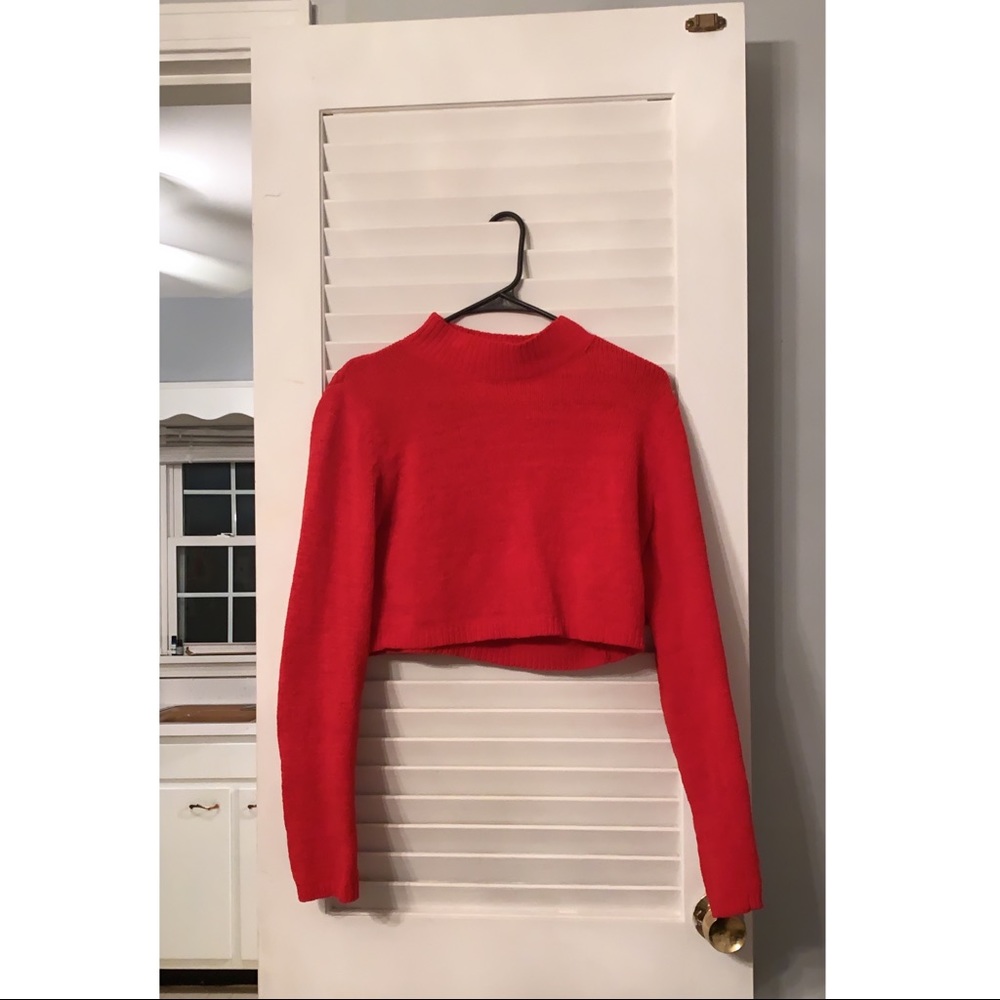 Cropped Turtleneck